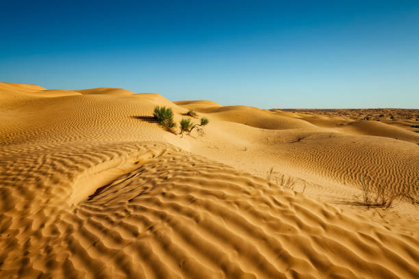 deserto del sahara vicino al grand erg oriental , tunisia -africa - great sand sea foto e immagini stock