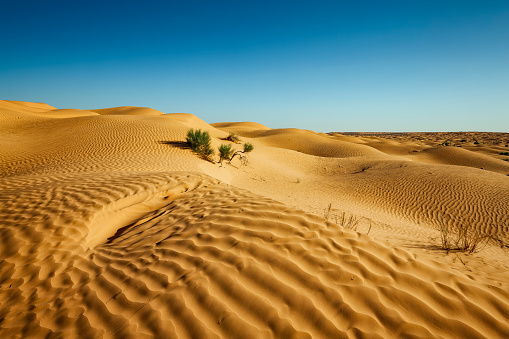 Sahara Desert nearby the Grand Erg Oriental , Tunisia -Africa