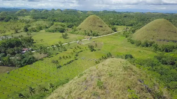 Photo of A cluster of the famed Chocolate Hills. A popular tourist spot and common sight in the town of Sagbayan, Bohol, Philippines.