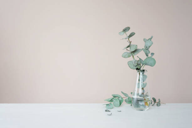 istock Blue eucalyptus in a glass vase on a table against a beige wall. Minimalist background with copy spaces. 1407710357