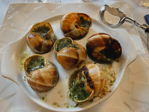 Vineyard snails in Alsace