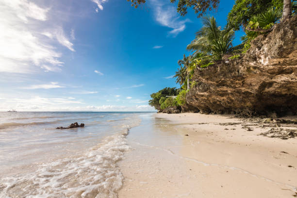 istock Gentle waves lap the white sand at Quinale Beach, Anda, Bohol 1407711175