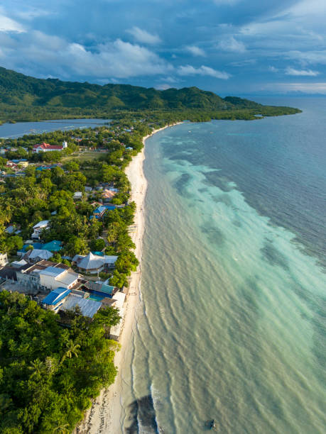 antenna di resort lungo la spiaggia di quinale ad anda, bohol. - bohol foto e immagini stock