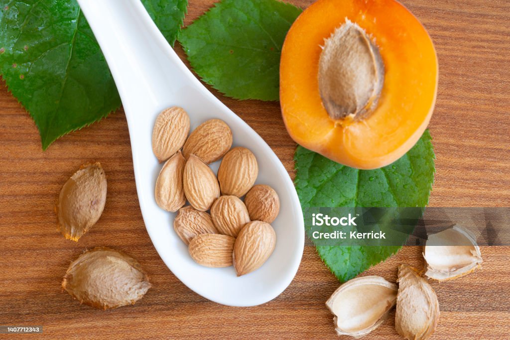 Apricot seeds - healthy kernels of apricots with vitamin B17 Apricot kernels - healthy kernels of apricots with vitamin B17 Almond Stock Photo