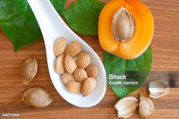 Apricot Seeds Healthy Kernels Of Apricots With Vitamin B17 Stock Photo - Download Image Now