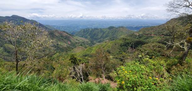 istock Mountain in Santander, Colombia 1407720791