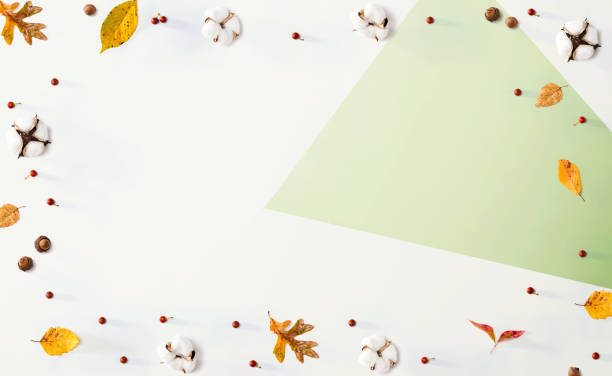 istock Autumn leaves and cotton flowers 1407721435
