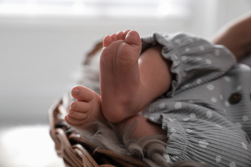 Adorable newborn baby in wicker basket with faux fur, closeup