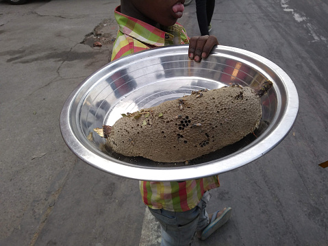 Unrecognizable handicapped boy carrying cut from tree Honey Bee Hive in metallic plate for sale in street to earn some money.