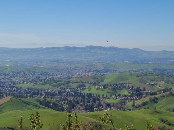 istock Hawk soaring above San Ramon Valley, California 1407726042