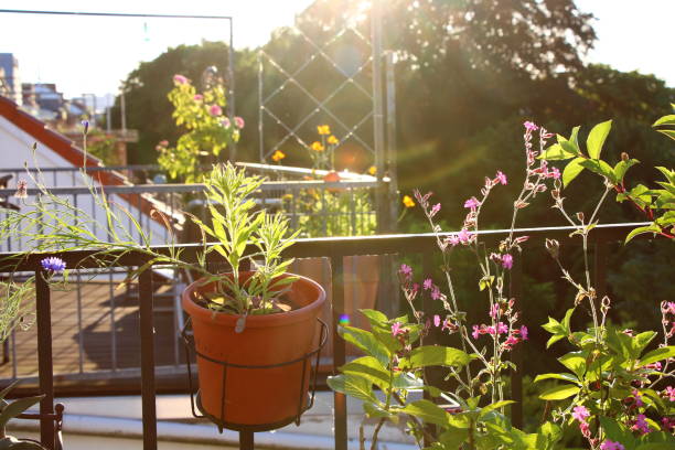 istock Balcony life in the sunshine 1407726294