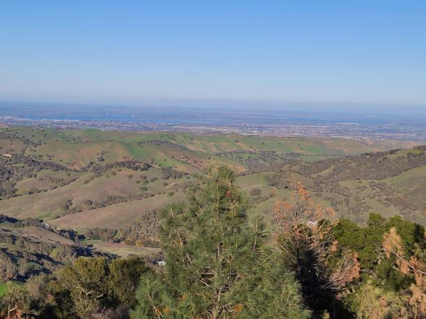 istock Pine tree lookout to the Central Valley, California 1407726325