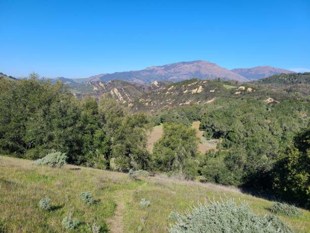 istock Mt Diablo from Oyster Point, California 1407727113