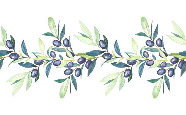 istock Seamless garland of olive branches , border with olive branches. Watercolor hand draw illustration. 1407728782