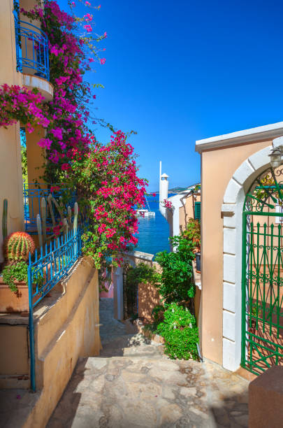 istock Street in Kefalonia, Greece 1407728819