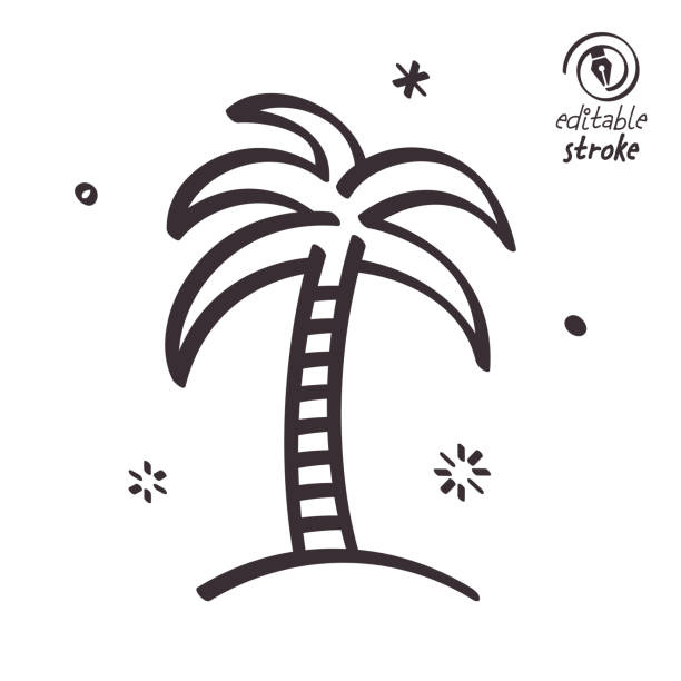 illustrations, cliparts, dessins animés et icônes de illustration de ligne ludique pour palmier - palm tree leaf tree frond