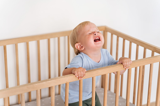 Portrait of upset sad frustrated one year old baby boy getting hysterical standing in bed asking to pick him up, seeking attention of parents crying out loud. Child temper tantrum