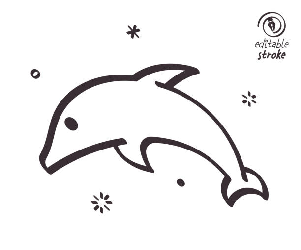 Playful Line Illustration for True Dolphin True dolphin concept can fit various design projects. Modern and playful line vector illustration featuring the object drawn in outline style. It's also easy to change the stroke width and edit the color. beluga whale jumping stock illustrations