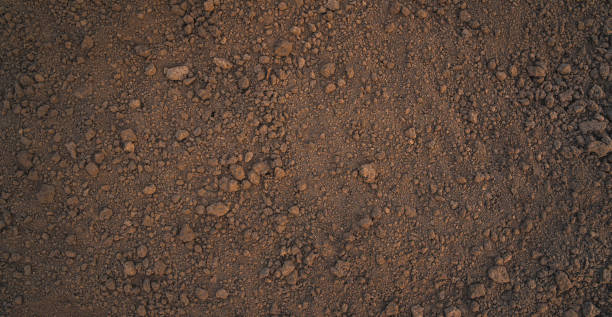 istock Soil, natural background. The texture of the soil. 1407731709