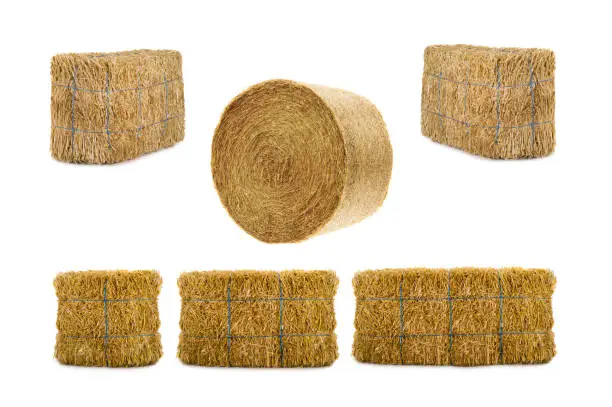 Photo of hay isolated on a white background