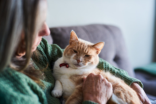 A senior woman is getting cozy with her fluffy and cute cat.