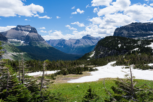 Alpine scenery at Logan pass along Going-to-the-Sun road in Glacier National Park, USA