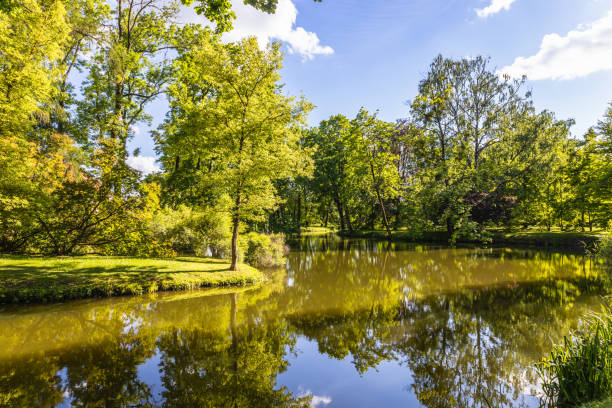 istock The public park with a pond for leisure landscape 1407734331