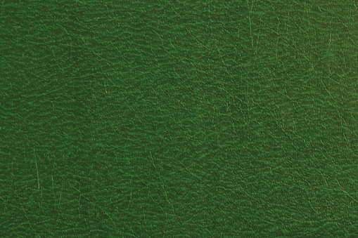 Abstract design background of glossy artificial genuine textured dark green creased leather. Flat surface. Skin natural wrinkled scratched wallpaper pattern. Close-up, mock up, top view