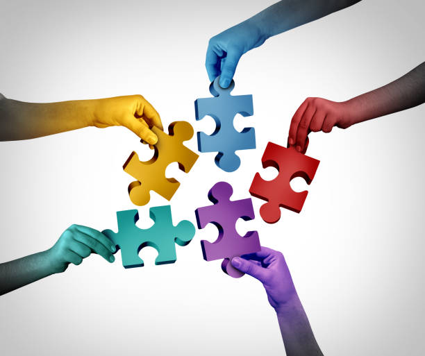 Business Team Success Metaphor Business Team Success Metaphor and community collaboration as a diverse society in a joint effort connecting puzzle pieces togetherwith 3D illustration elements. coalition photos stock pictures, royalty-free photos & images