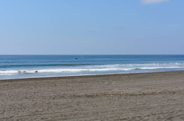 istock Beach scenery on a sunny day. Cuyutlan beach, Colima, Mexico. 1407740995