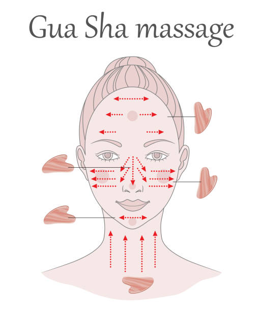 chinesische massage mit gu sha steinen. massagelinien im gesicht, vektorillustration - gua sha stock-grafiken, -clipart, -cartoons und -symbole