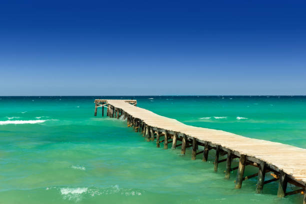 istock Playa de Muro, Alcudia, Mallorca 1407742109