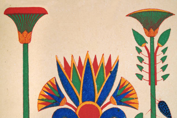 illustrations, cliparts, dessins animés et icônes de représentation d’art égyptien ancien de papyrus et de fleurs de lotus - égypte