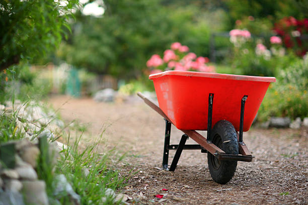 Gardening man pushing green wheelbarrow containing a potted plant and garden spade on white background.