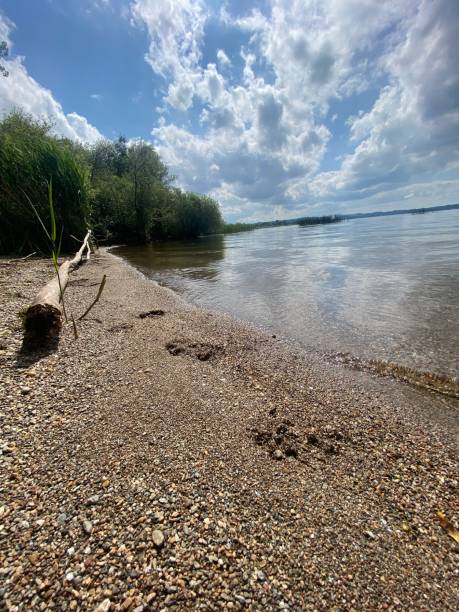 istock Bathing beach at the beautiful Chiemsee 1407750538