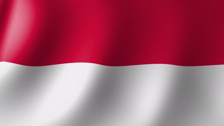 Monaco Flag Stock Videos and Royalty-Free Footage - iStock Monaco Flag Stock Videos and Royalty-Free Footage - iStock