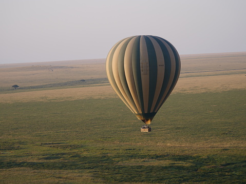 Hot air balloons taking off at dawn for balloon safaris in the Masai Mara, Kenya