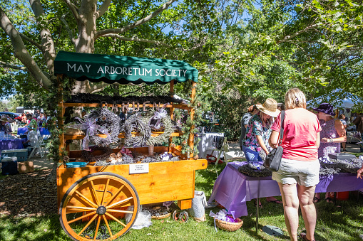 Reno, NV USA - July 9, 2022: Shoppers and vendors at Lavender Day at the May Arboretum.