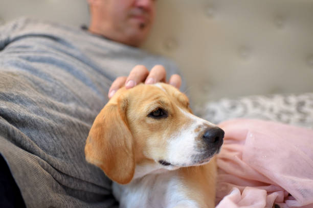 Love and union with the pet