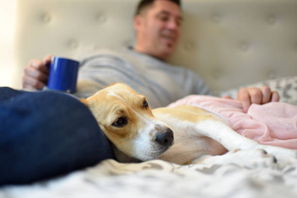 Love and union with the pet