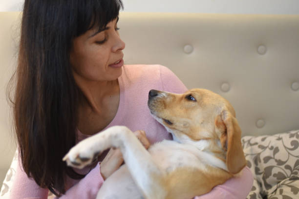 istock dog with its owner in bed 1407759888