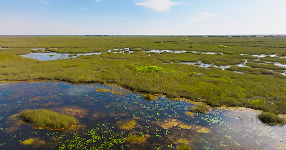 Drone shot of swampy sawgrass prairie in the Florida Everglades on a sunny day in spring. \n\nThis shot was taken outside the boundaries of Everglades Nation Park.