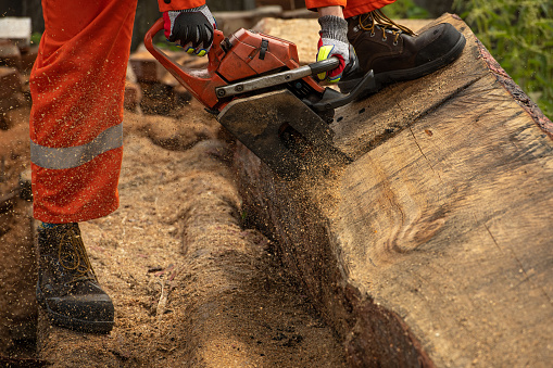 Close up of chain saw used cut  log. Safety boots  of workmen.