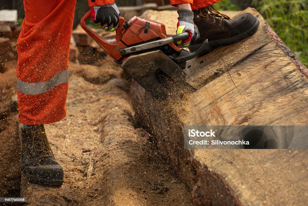Legs of worker. Close up of chain saw. Close up of chain saw used cut  log. Safety boots  of workmen. Tree Stock Photo