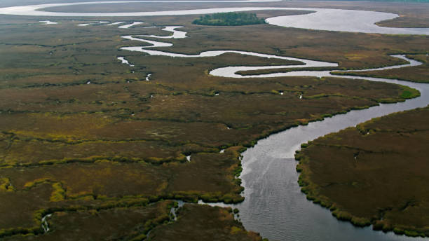 istock Drone Shot of St. Mary's River 1407766926