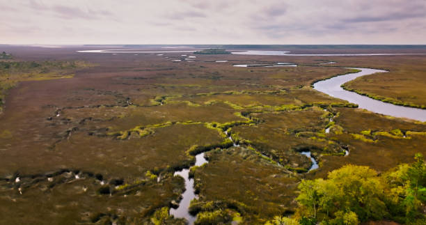 istock Drone Shot of Marshlands Along St. Mary's River 1407766944