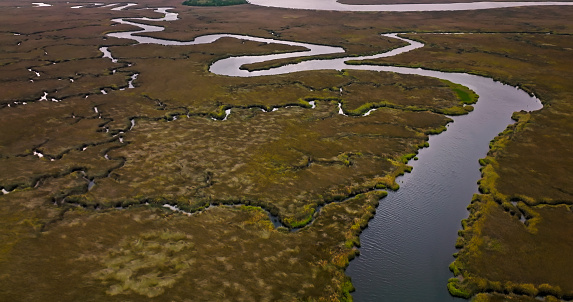 Aerial shot of St. Mary's River on an overcast afternoon in spring. The river serves as one of the major border markers of the Georgia - Florida State borderline.
