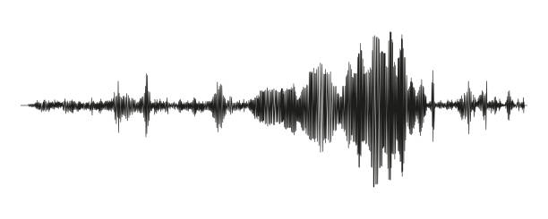 Seismograph measurement or lie detector graph. Seismic measurements with data record. Vector illustration Seismograph measurement or lie detector graph. Seismic measurements with data record. Vector illustration isolated in white background seismologist stock illustrations