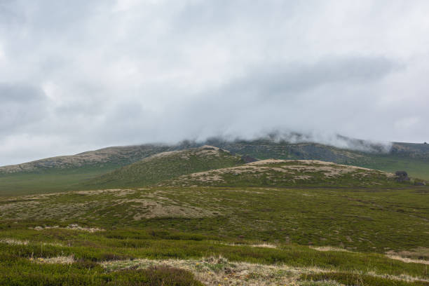 istock Dramatic alpine landscape with hills and mountains in gray low clouds. Bleak atmospheric scenery of tundra under lead gray sky. Gloomy minimalist view to green hills among low rainy clouds in overcast 1407768028
