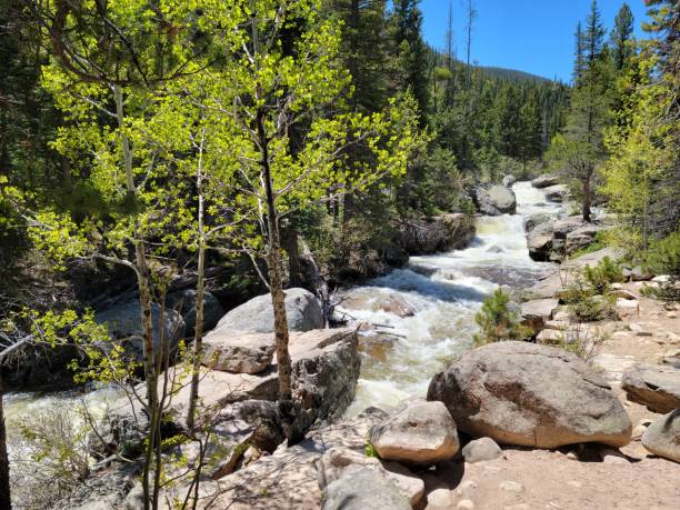 istock River Hiking Trail in Colorado 1407771941